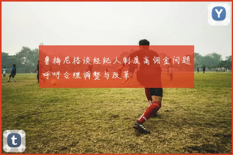 鲁梅尼格谈经纪人制度高佣金问题呼吁合理调整与改革