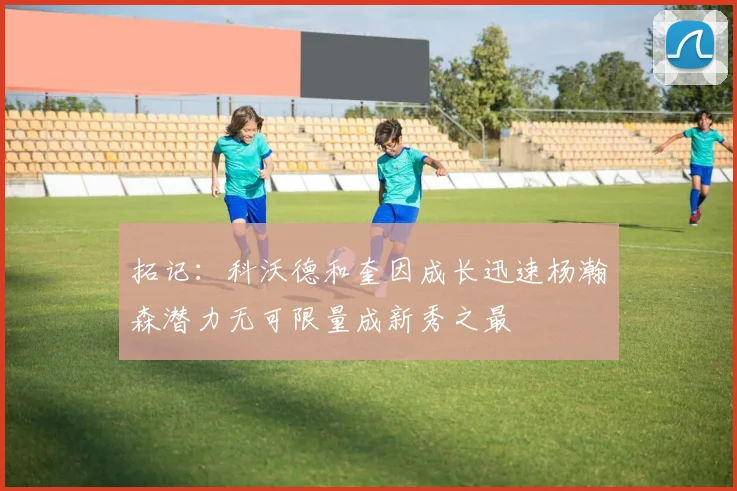 拓记：科沃德和奎因成长迅速杨瀚森潜力无可限量成新秀之最