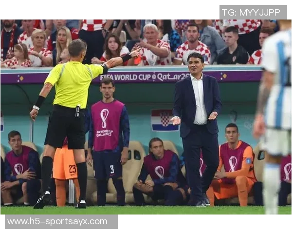 赛哈特海湾主帅对裁判判罚不满指责布罗佐维奇应被红牌罚下